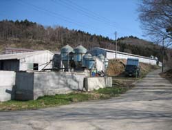 えごま豚 産地直送 肉のあさひ