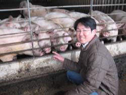 えごま豚通販 産地直送 肉のあさひ