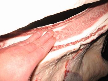 仙台牛 仙台牛通販 和牛 肉のあさひ
