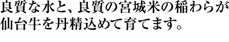 良質な水と、良質の宮城米の稲わらが仙台牛を丹精込めて育てます。