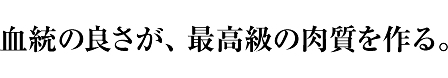 血統の良さが、最高級の肉質を作る。